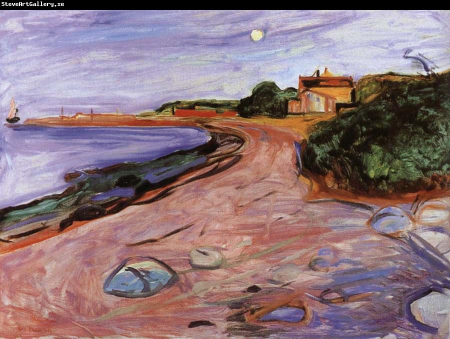 Edvard Munch Scenery of Aosike